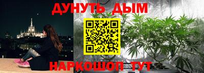 сатива Пенза