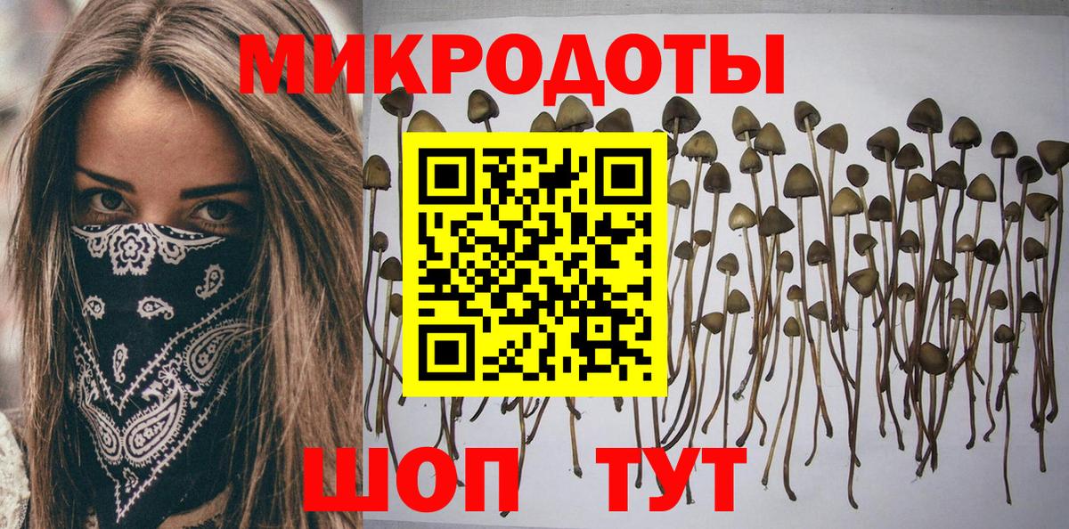 Псилоцибиновые грибы GOLDEN TEACHER Новосибирск