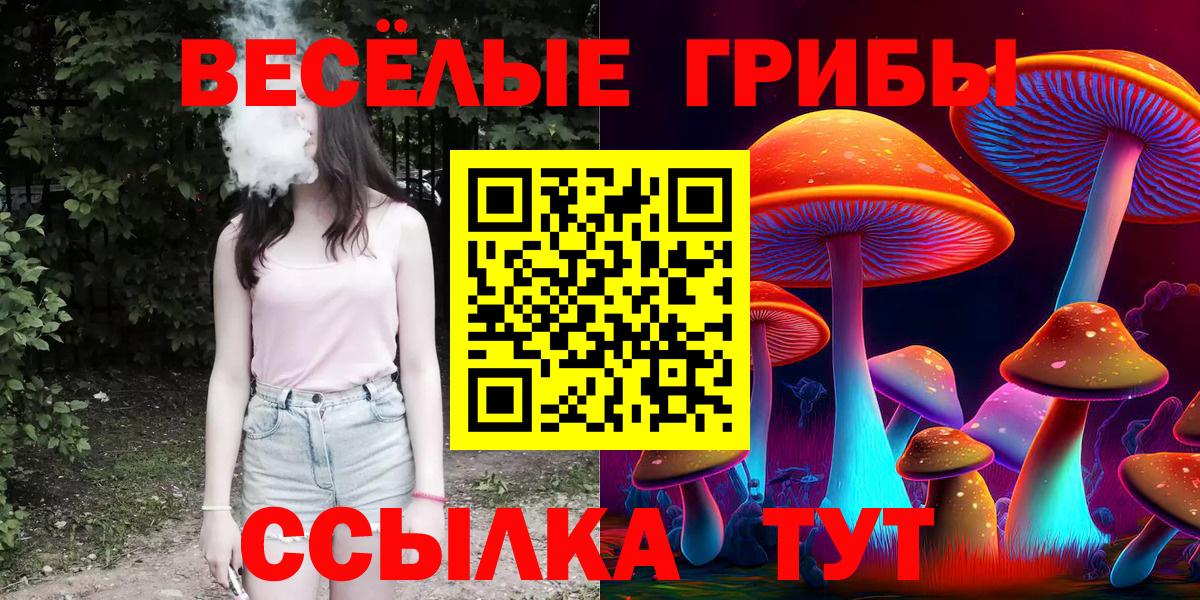 купить закладку  Вход с VPN  Псилоцибиновые грибы GOLDEN TEACHER  Новосибирск  Галлюциногенные грибы MAGIC MUSHROOMS 